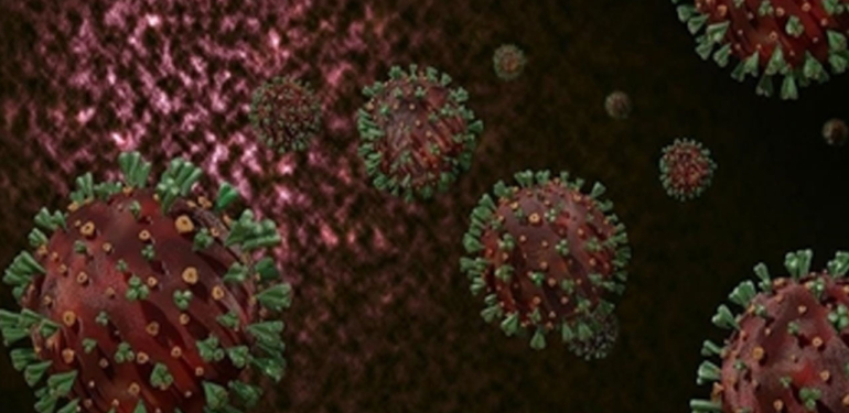 Türkiye’de maymun çiçeği görüldü mü? ‘Karantina’ iddiasına Ankara İl Sağlık Müdürlüğünden açıklama geldi